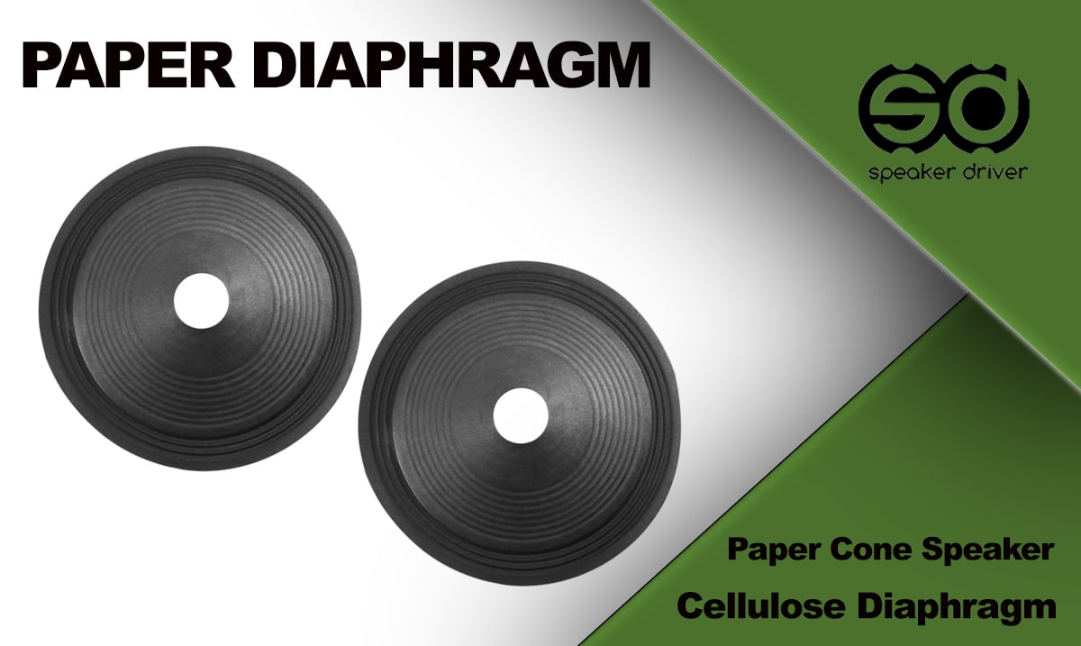 Paper Diaphragm