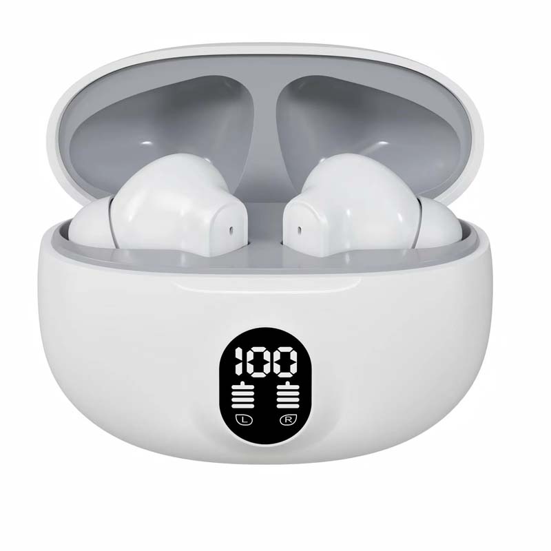 SD-S510 Earbud